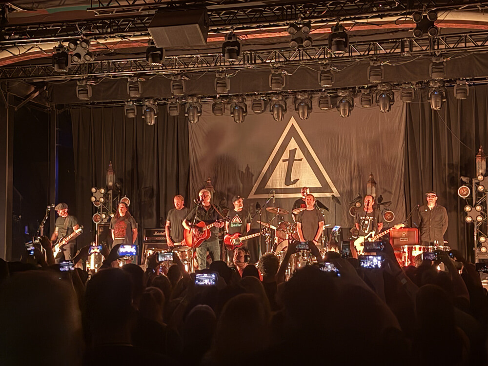 Toadies