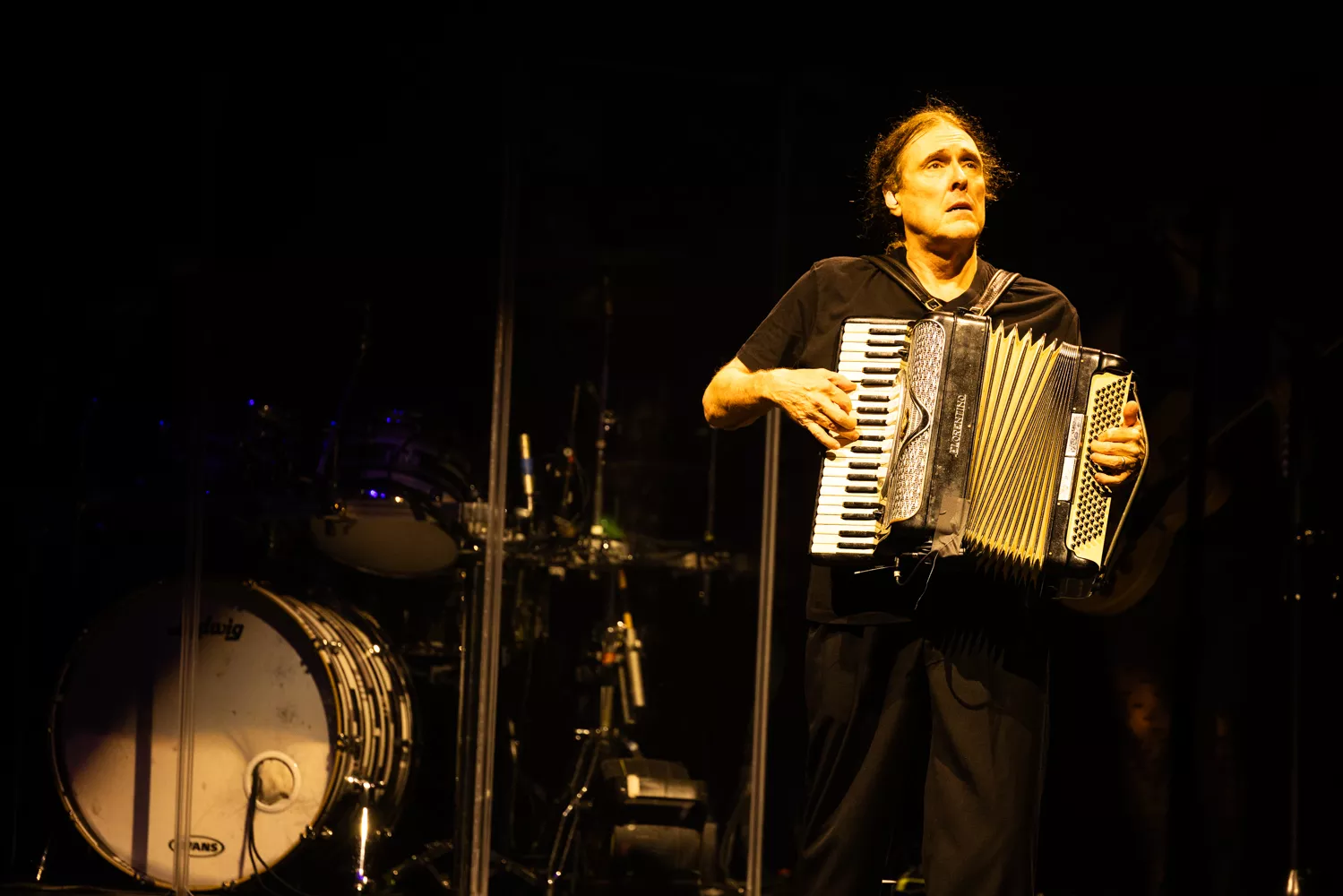 Weird Al playing the accordion